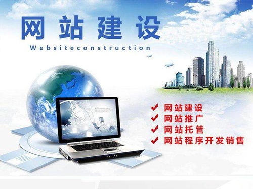 石家莊軟件開發公司技術咨詢服務指南